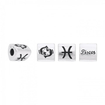 Triangle Pisces Zodiac Silver Bead TBD096 - Jewelry